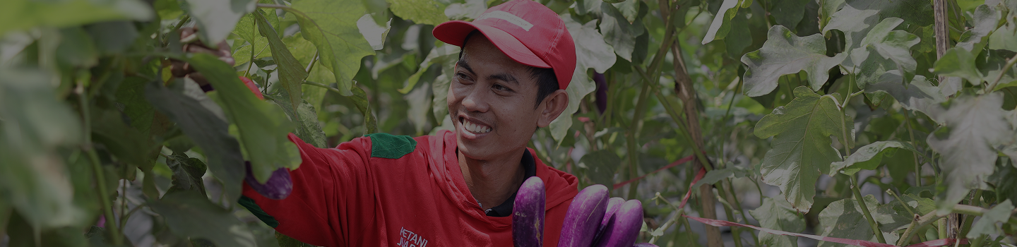 Productpedia Landing